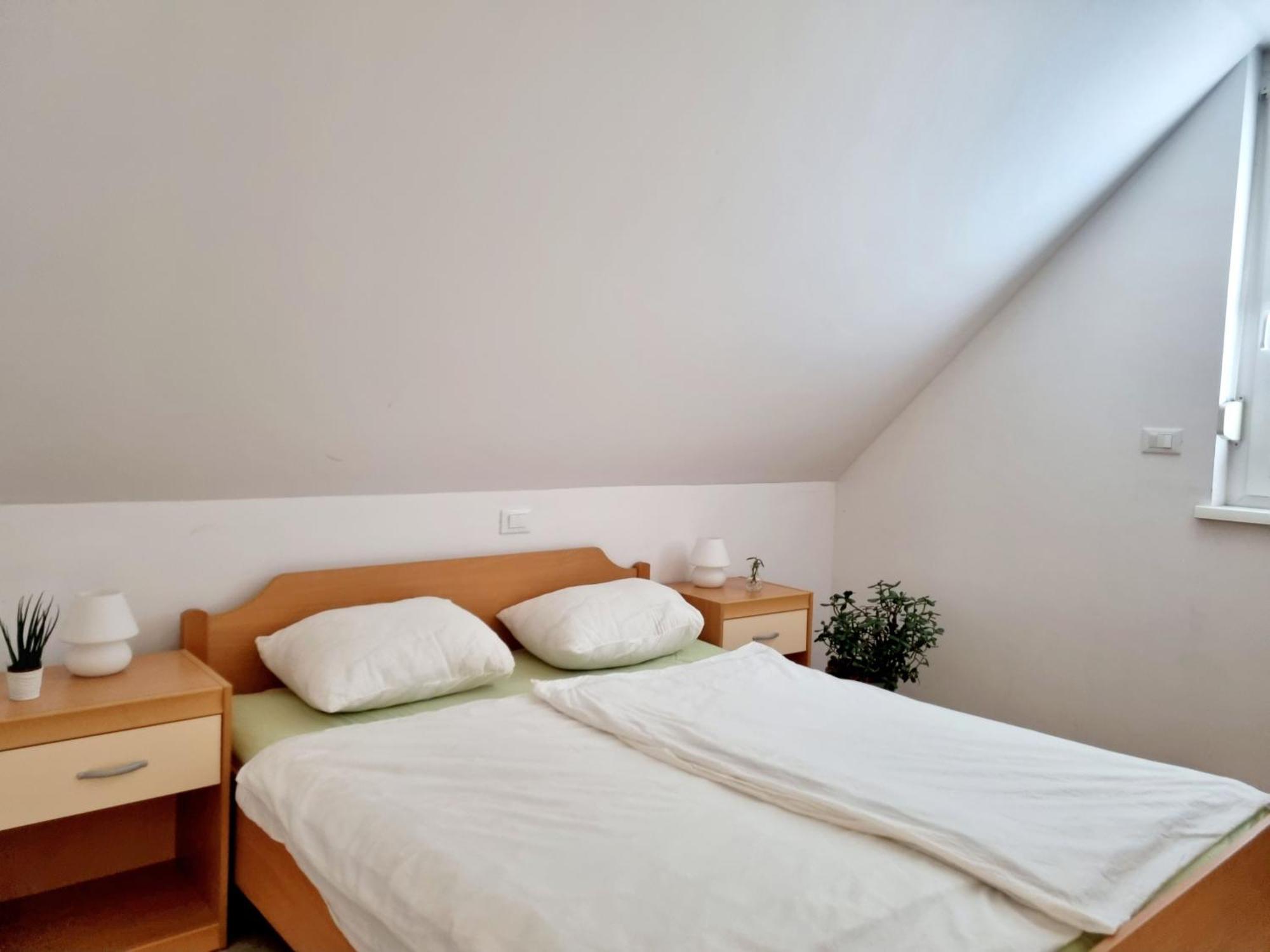 Apartmaji Pri Ticelnu Бовец Екстериор снимка