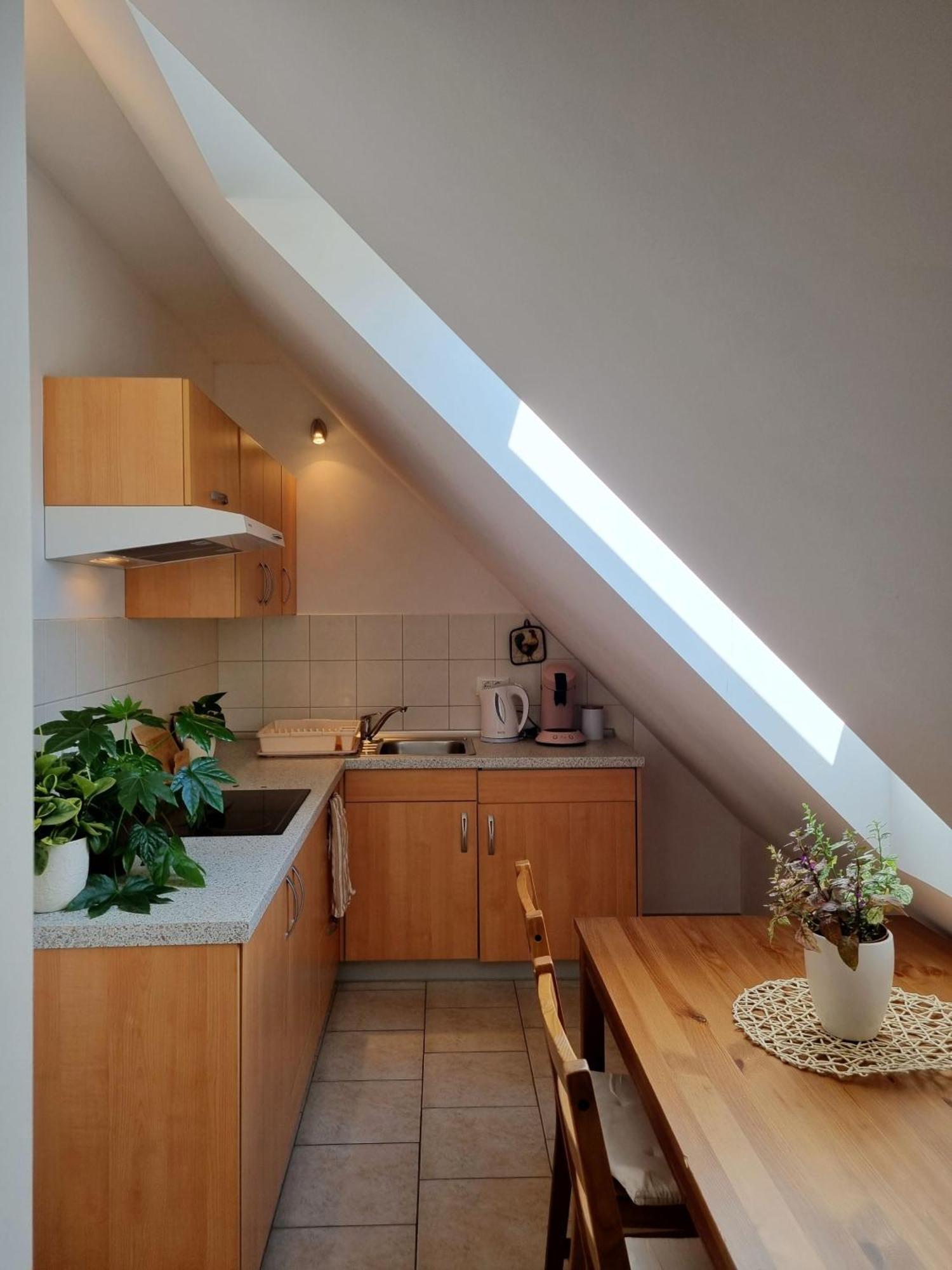 Apartmaji Pri Ticelnu Бовец Екстериор снимка